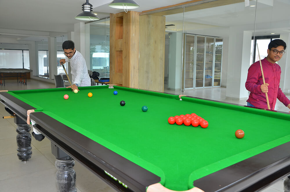 DCNPL Hills Vistaa Clubhouse - Pool Table